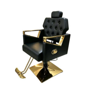 BZ008-F Reclining Barber Chair