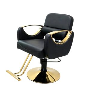 BZ001 Non-Reclining Barber Chair