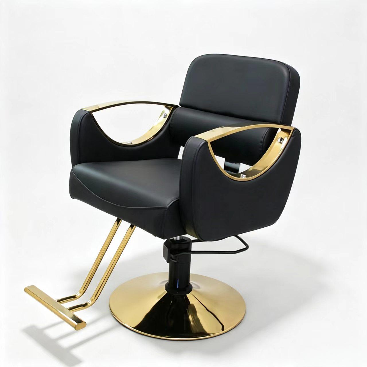 BZ001 barber and salon chair